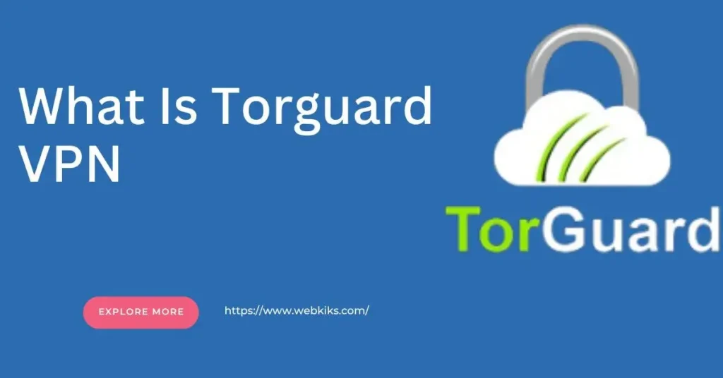 What Is Torguard VPN